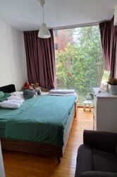 The Levelz (D10), Condominium #539681951
